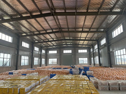 常山胡柚進入最佳賞味期 雙柚 產品迎來銷售旺季