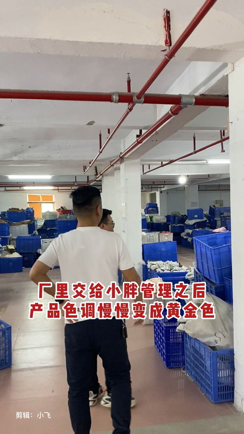 3年前把廠的管理權(quán)交給了小胖,也叫小黃,不是他姓黃,他管理之后,廠里產(chǎn)品色調(diào)都變成黃金色調(diào),他說黃色比較旺