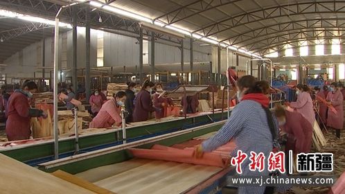 新疆阿克蘇市 2.15萬農(nóng)村 4050 勞動力穩(wěn)定就業(yè)