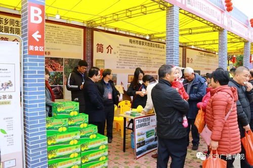 剛剛 興寧市首屆農特產品展銷暨農電商交流貿易會啟動 場面火爆