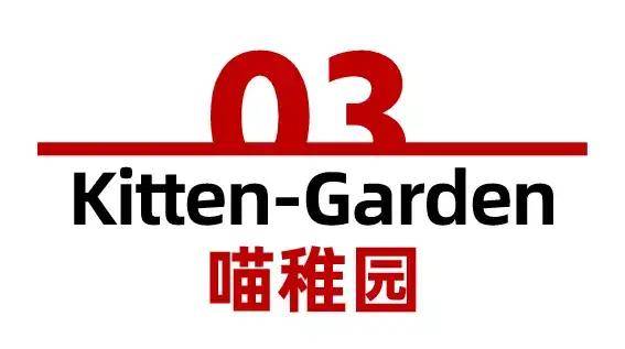 第二屆tops它博會最新規劃發布,有哪些內容值得期待